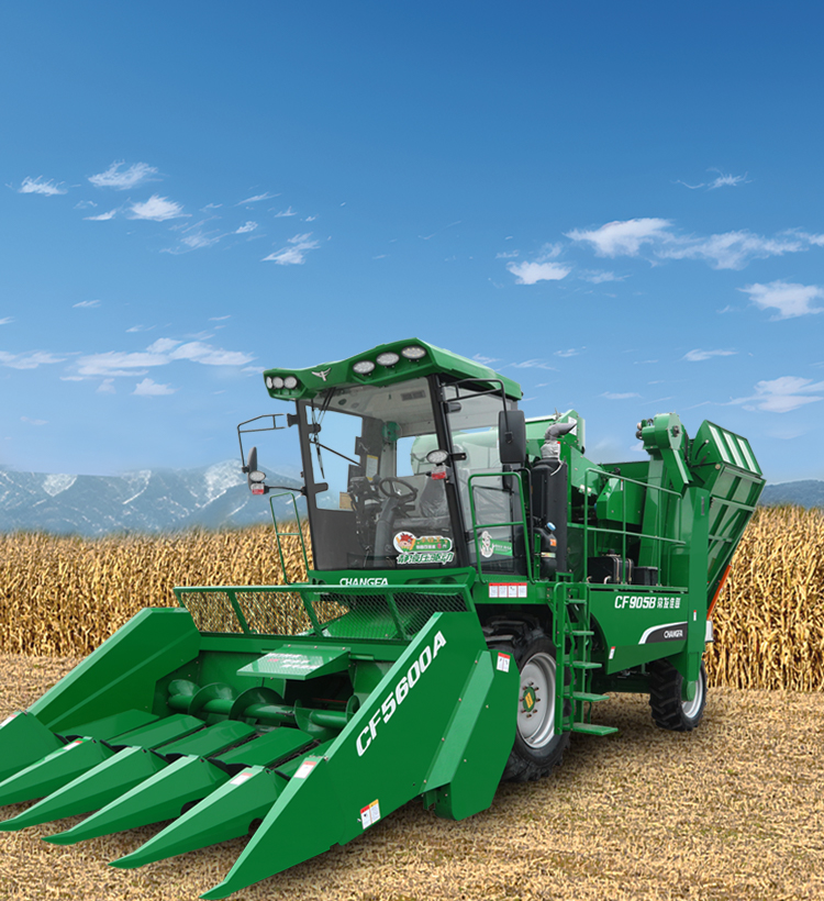 img of cate in index