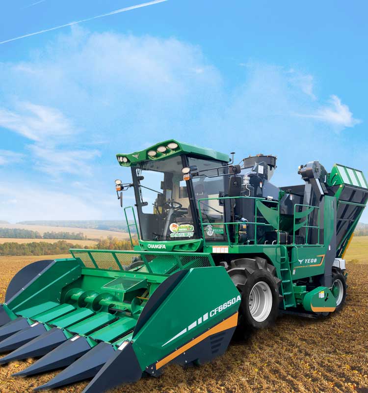 img1 of cate in cate