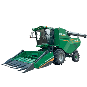 img1 of cate in cate